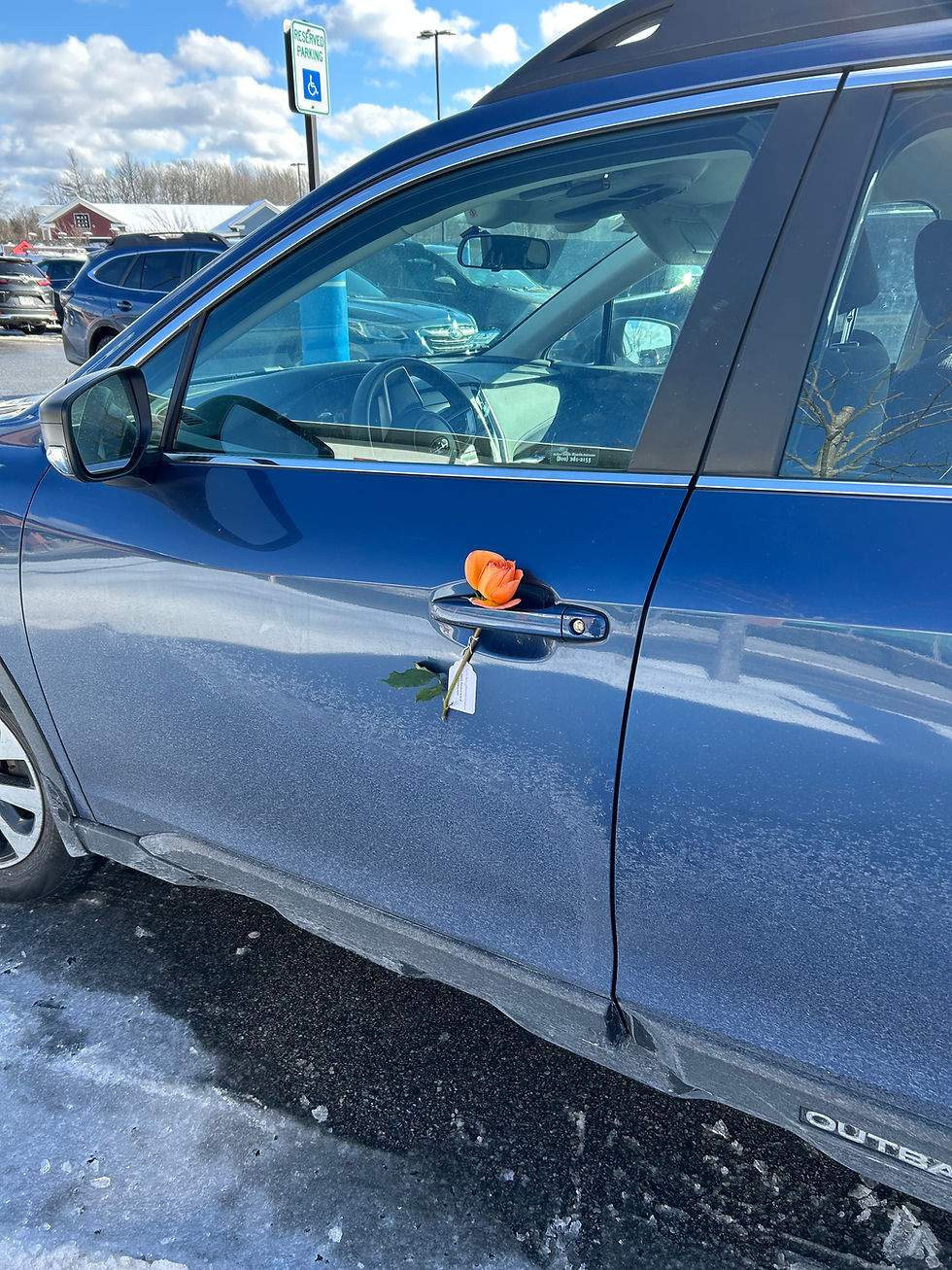 rose on car door handle