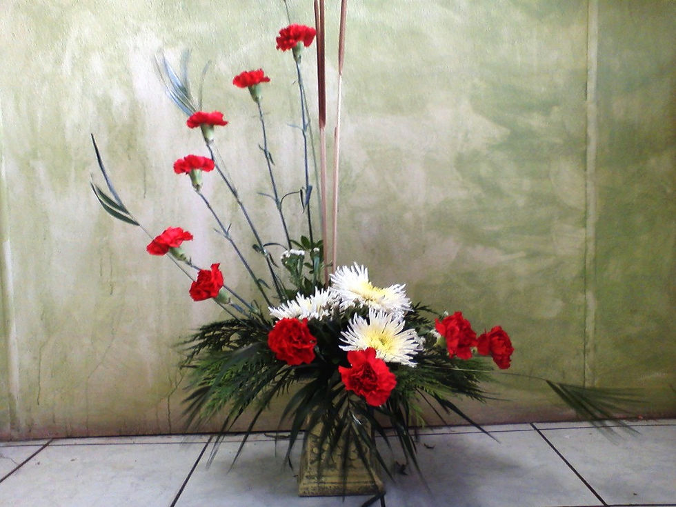 T003.jpg
