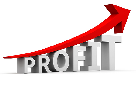 increase-profits-blog_edited.png