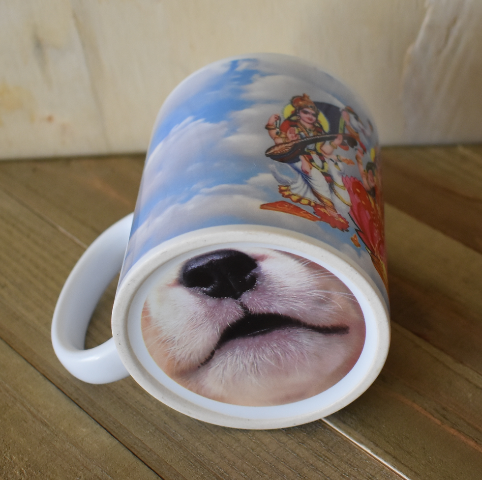 Thumbnail: Funny Animal bottom Mug