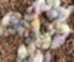 fullsizeoutput_1fe6