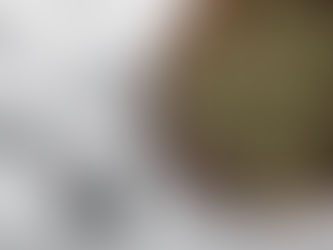 What to Consider When Buying CBD Oil Products