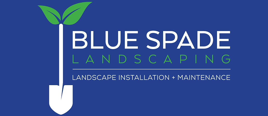 BlueSpade_Logo_Full_Blue.jpg