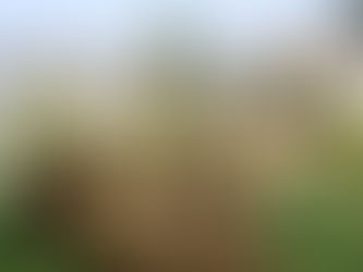 Raising Day Camp Rates with Care: How to Increase Prices Without Losing Families