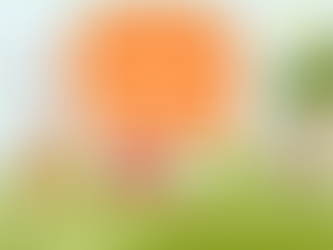 The Magic of Camp: Creating Unforgettable Experiences for Kids