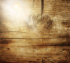 Old Wood_edited.jpg