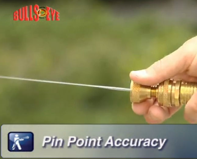 Thumbnail: Bulls Eye