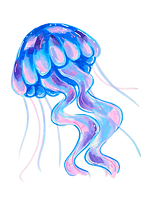 jellyfish.png