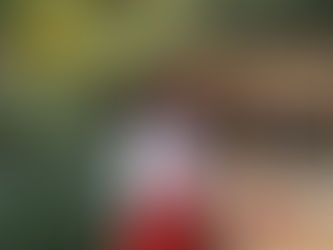 4年間の奉仕を終えて