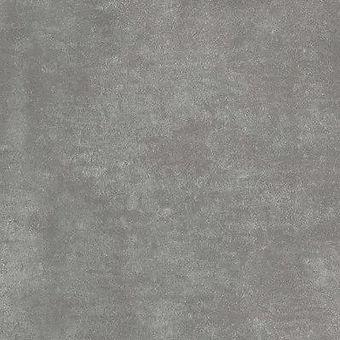 Callisto Regina Grey.JPG
