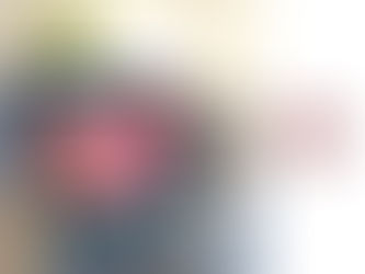 Ordinateur portable affichant l’affiche du Salon Habitat & Immobilier de Vannes, dates et lieu bien visibles, à côté du logo Maisons Le Masson Vannes.