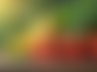 Take Charge of Your Family's Health: Why Relying on Government and Big Food is Not Enough