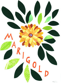 Day 49 - Marigold