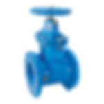 Globe Valve