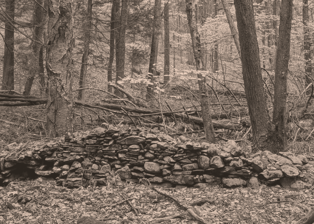 Farm-Era Stone Wall