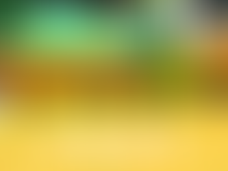 2022年11月29日(火曜日)活動記録-狭山市バドミントンこども教室 フロッシュ