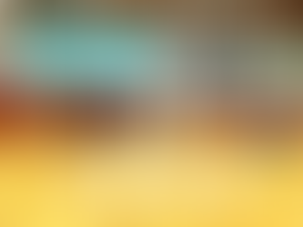 2022年7月24日活動記録