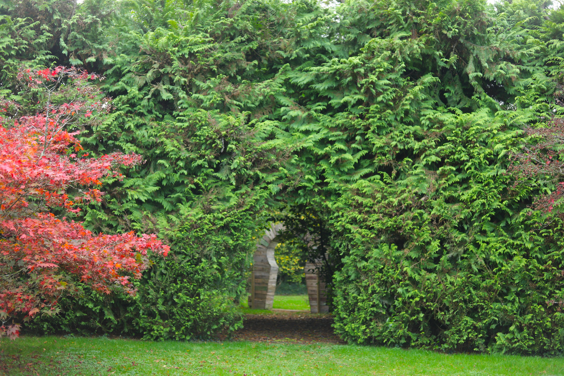 entrance-to-secret-garden