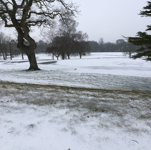 hensol-castle-winter-wedding-gardens