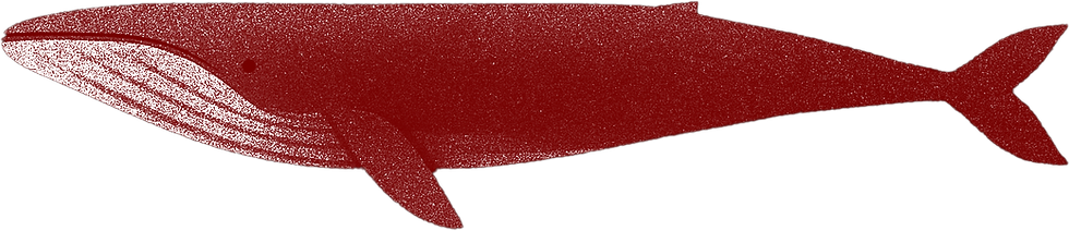 ChatGPT-Image-Apr-20,-2025,-01_27_33-AM3.png