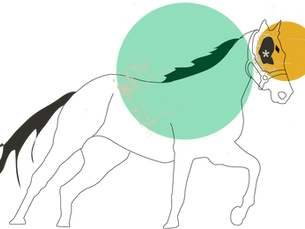 Empregos Melhores para Cavalos