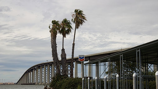 Antioch Bridge across the river, with palm trees in the foreground