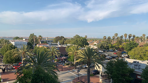 Old Town Pittsburg, California, with palm trees, downtown buildings and Railroad Avenue