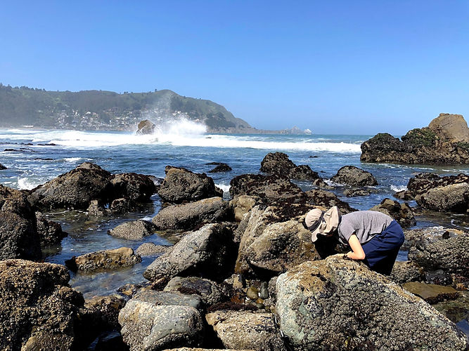 tidepool.jpg