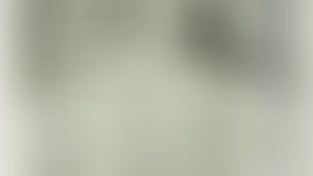 Monkey’s Paws & Paperclips