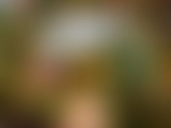 Venue Spotlight: Woodland Hollow Weddings