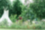 Tipi set in woodland campsite