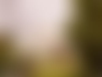 Large white yurt with open entrance, set in a garden surrounded by greenery and flowers. Overcast sky, peaceful atmosphere.