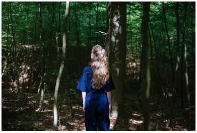 Rewild Studio