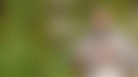 The future of all life is our decision