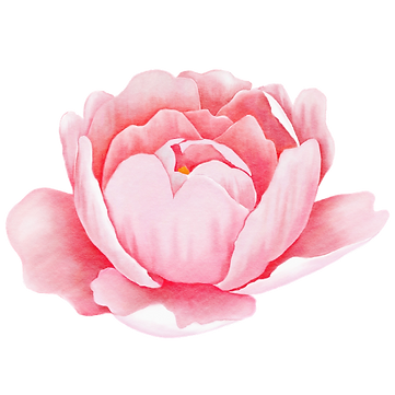 Untitled design (3).png