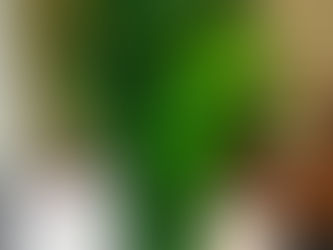 おかげさまで2周年になりました