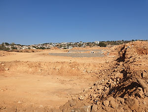 20190628_103147.jpg