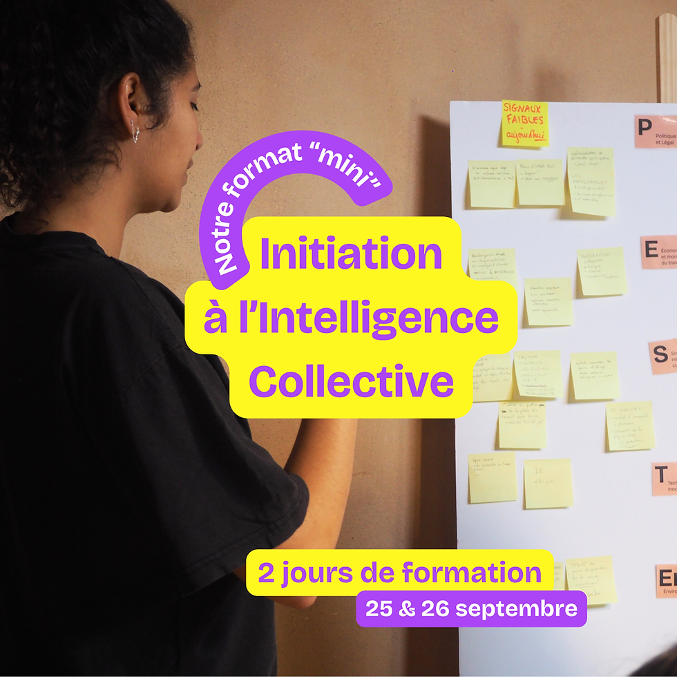 Initiation à l'Intelligence Collective