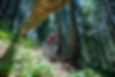 Summer Activities - Bike Park (1).jpeg