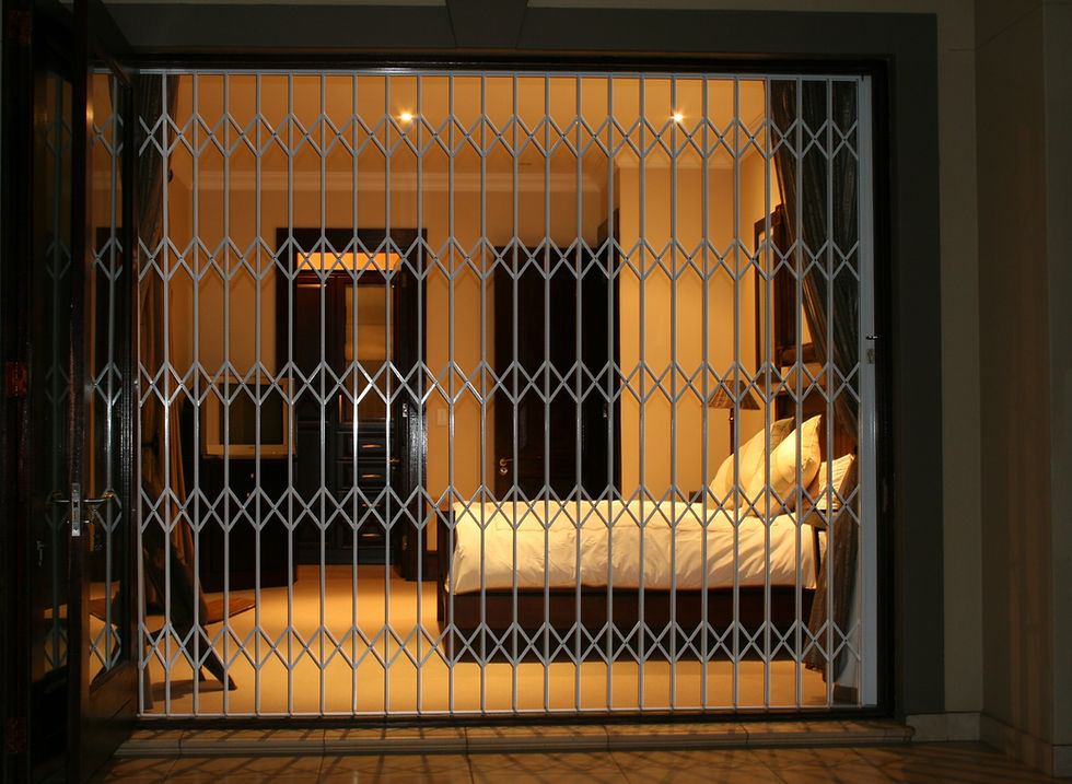 Security Trellis Doors 2.JPG