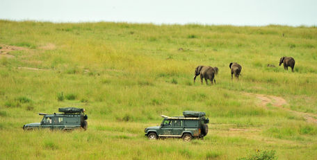 Self Drive In The Masai Mara
