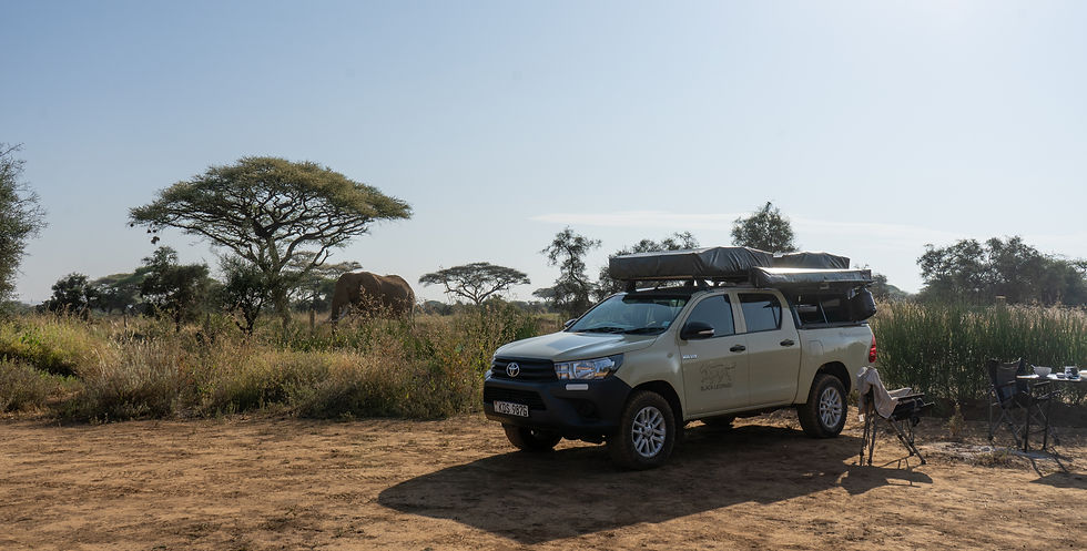 Majaro Campsite Amboseli