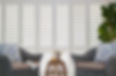 Security_shutters_chairs_couches_plants.jpeg