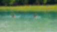 Summer - Lake Swimming .jpeg