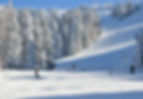 Winter Actvities - Ski.jpg