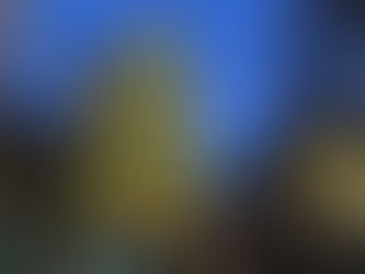 シカゴのクリスマス