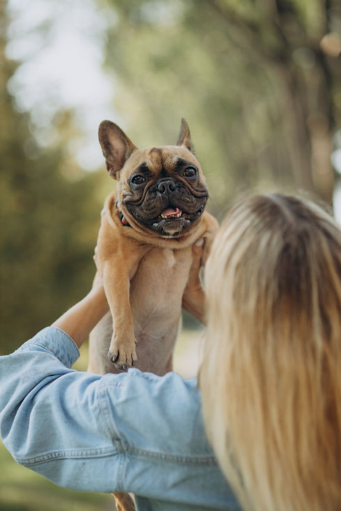 Pensione per Cani a Verona Soggiorno Esclusivo e Moderno da Signor Cucciolo 1 (1).jpg