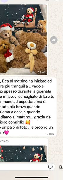 Recensione allevamento Signor Cucciolo Verona cuccioli sani