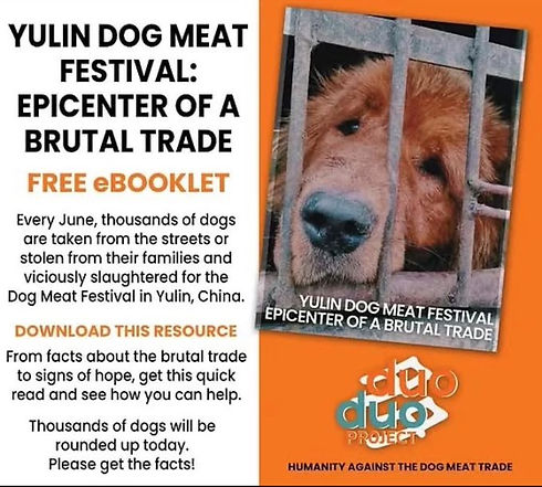 YULIN BOOKLET.jpeg
