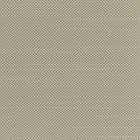 217181-9-1 0107621 BROER FT - VERÃO 24.jpg